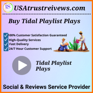 Buy Tidal Playlist Plays
